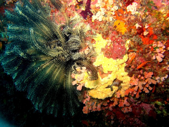 Andaman, India