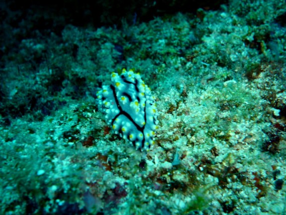 Malaysia
