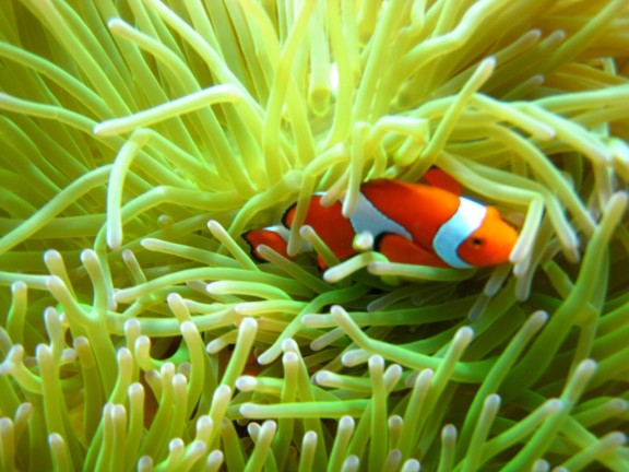 Manado, Indonesia