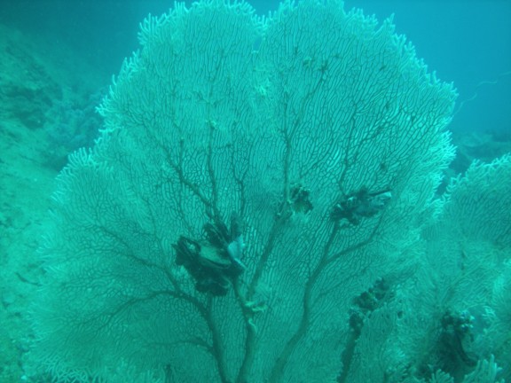 Phuket, Thailande