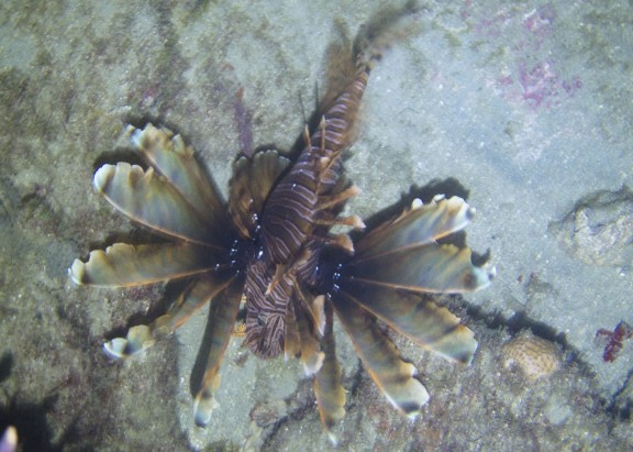 West Palm Beach, United States