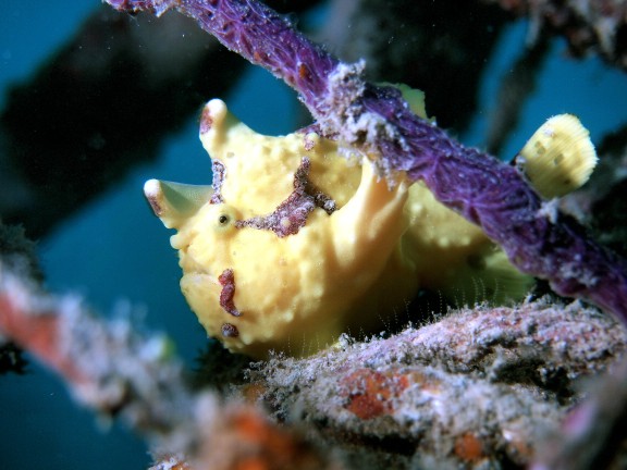 Semporna, Malaysia