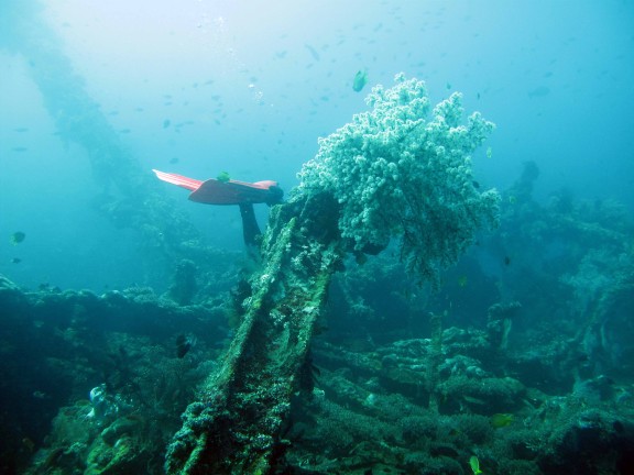 Kubu, Indonesia