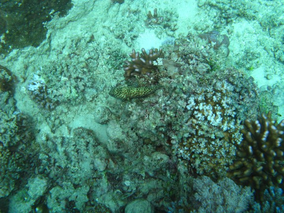 Queensland, Australia
