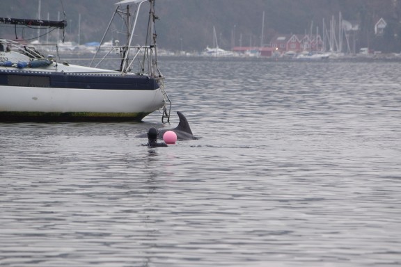 Sandnes, Norge