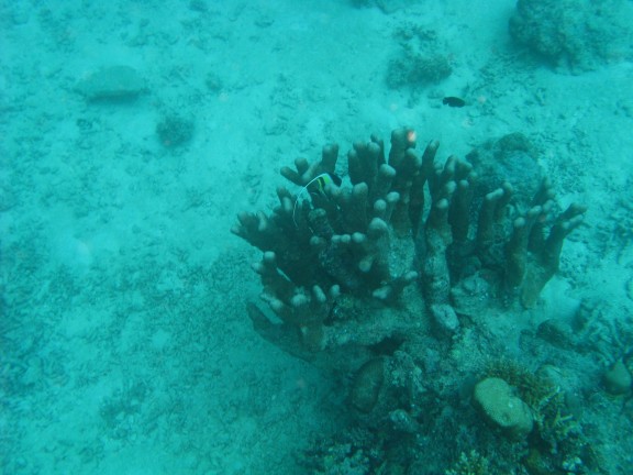Queensland, Australia