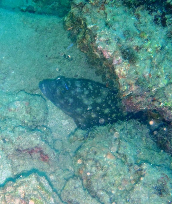 Andaman, India