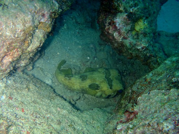 Andaman, India