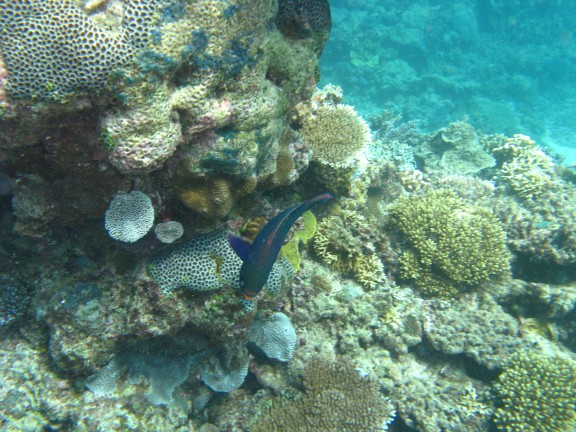 Queensland, Australia