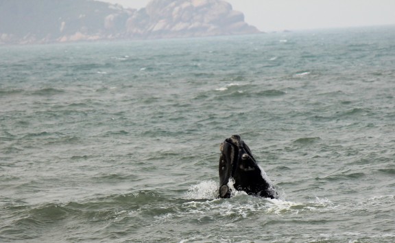 Florianópolis, República Federativa do Brasil
