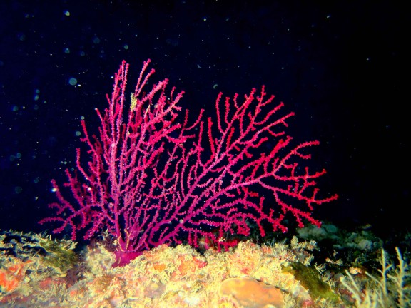 port blair, india