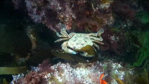 Plobannalec-Lesconil, France