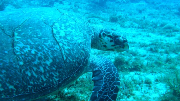 Quintana Roo, Mexico