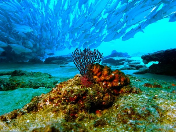 Baja California Sur, México