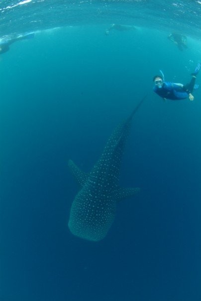 Seychelles