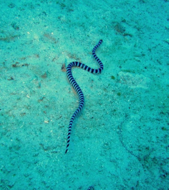 Port Blair, India