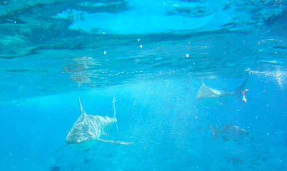 Alice Town, The Bahamas