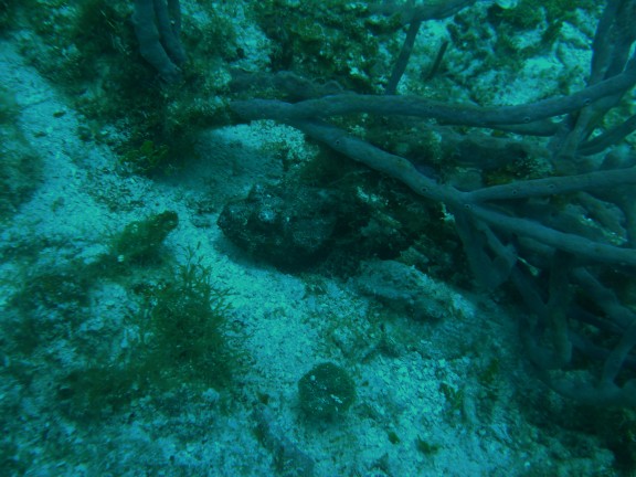 Cozumel, Mexico