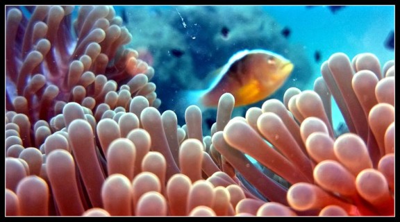 South Andaman, India