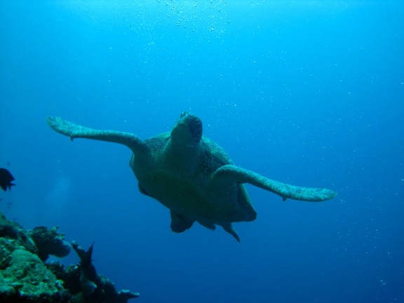Manado, Indonesia