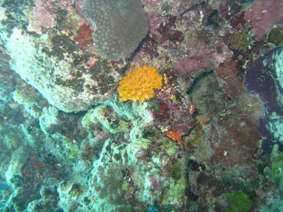 Queensland, Australia