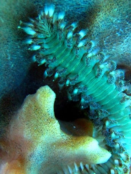 Aguadilla, Puerto Rico