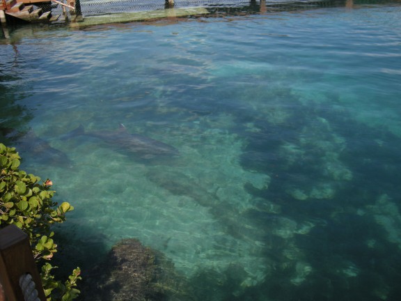 Quintana Roo, México