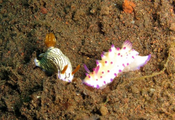 Karangasem, Indonesia