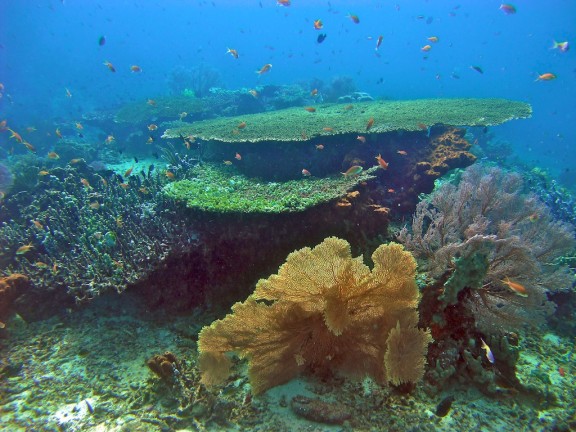 Gerokgak, Indonesia