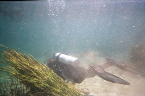 Florida, Rainbow River