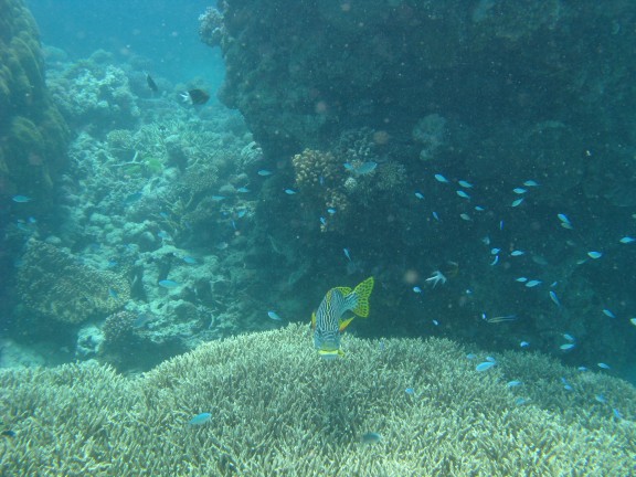 Queensland, Australia