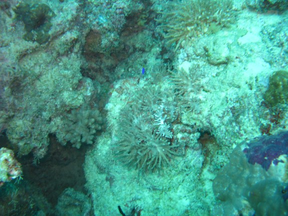 Queensland, Australia