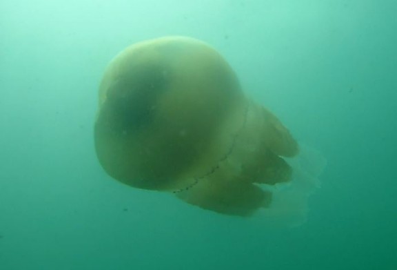 Swanage, United Kingdom