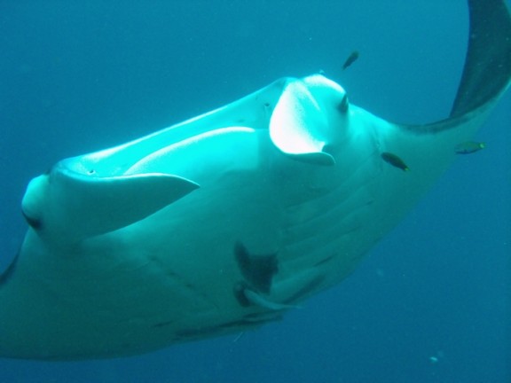  Raja Ampat