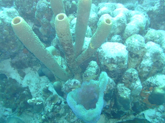 Kralendijk, Caribbean Netherlands