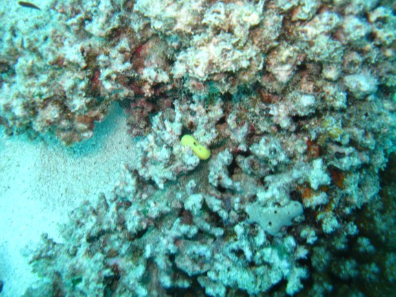 Queensland, Australia