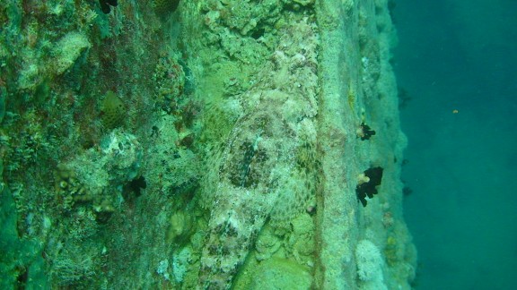Red Sea