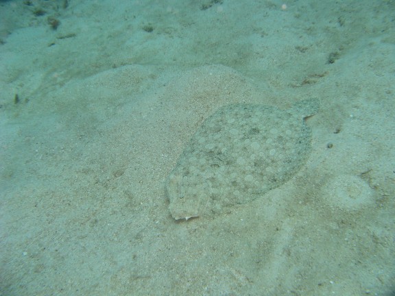 Queensland, Australia