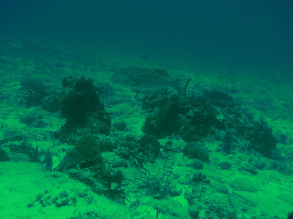 Quintana Roo, Mexico