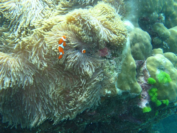 Queensland, Australia