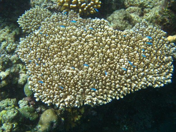 Queensland, Australia