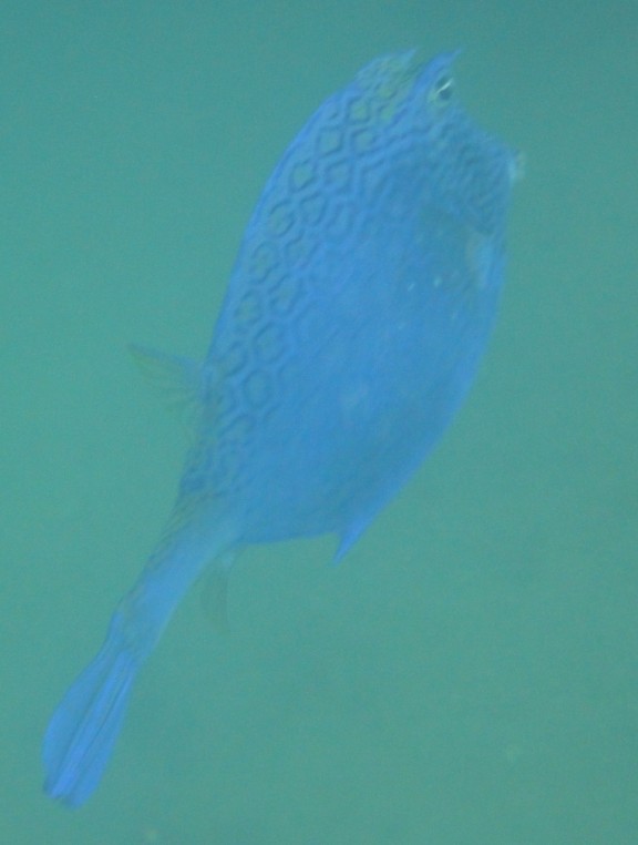 -42.01853942871094,-22.96910052977783