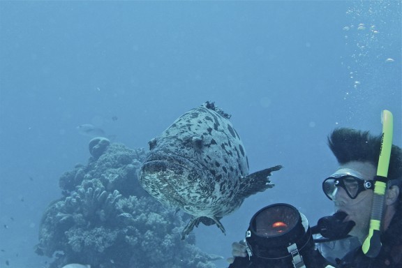 Cod Hole