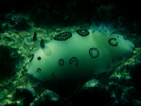 Mersing, Malaysia