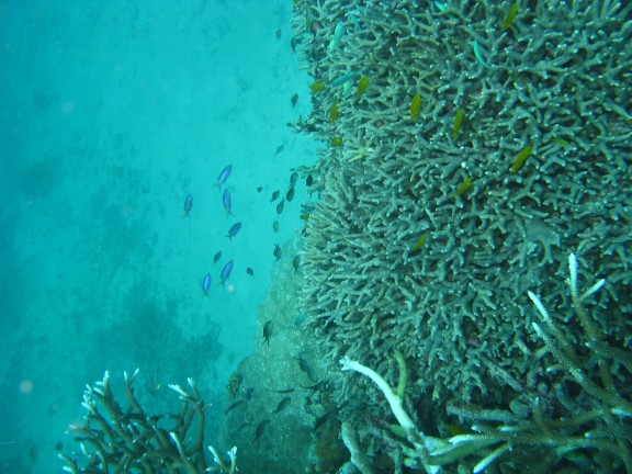 Queensland, Australia