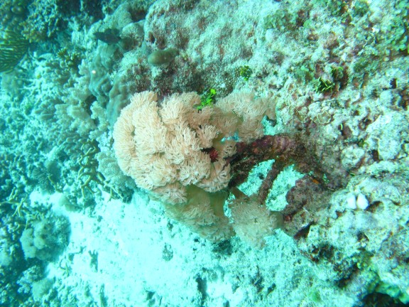 Queensland, Australia