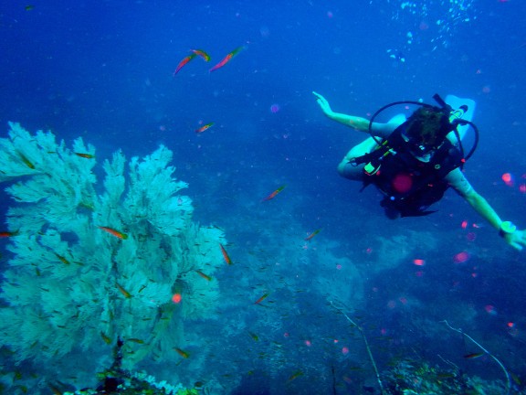 Islas Similan