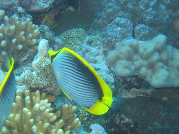 Hurghada, Egitto