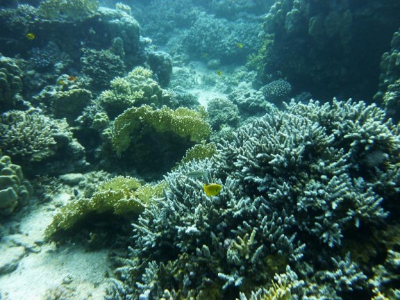 Dahab, Egypt
