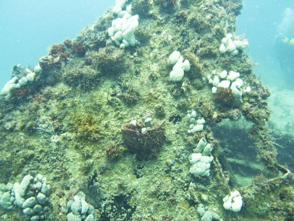 West Palm Beach, United States